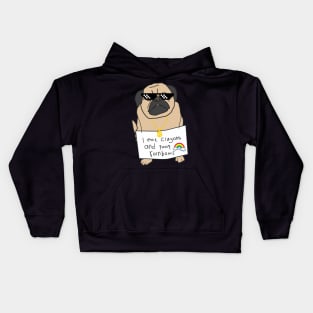 Mr Pug: i eat crayons and poop rainbows Kids Hoodie